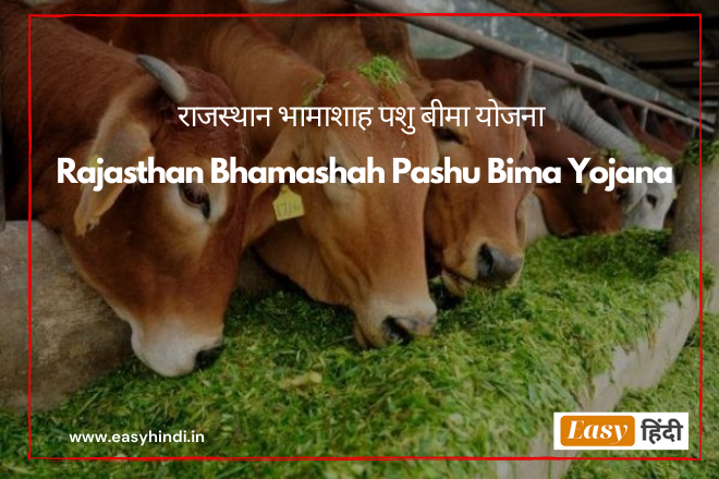 राजस्थान भामाशाह पशु बीमा योजना | Rajasthan Bhamashah Pashu Bima Yojana