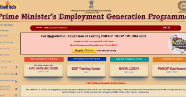 PMEGP-प्रधानमंत्री स्वरोजगार योजना