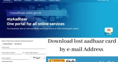 Download aadhaar card by e-mail Address