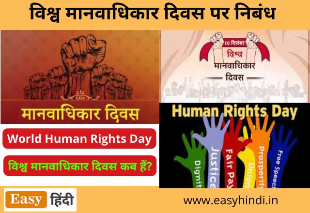Human Rights Day essay