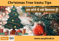 Christmas Tree Vastu Tips