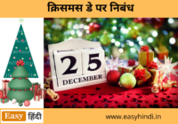 Essay on Christmas day in Hindi