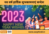 Happy New Year Wishes in Hindi