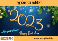 New year Poem in Hindi