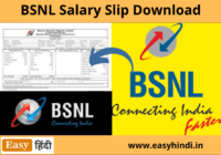 BSNL Salary Slip Download