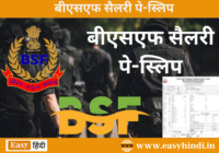 BSF Salary Slip