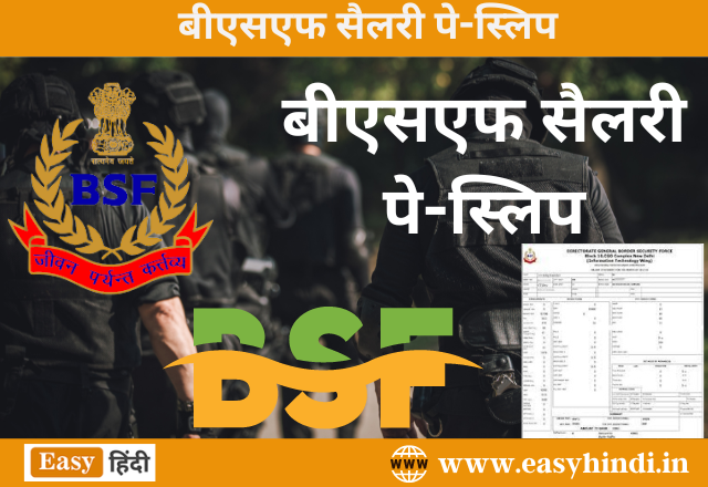 bsf-payslip-2023-pdf-online-download