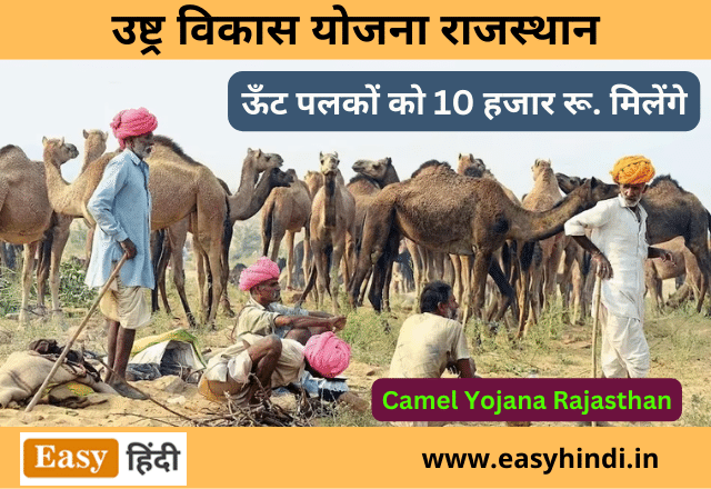 Camel Yojana Rajasthan