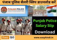 Punjab Police Salary Slip