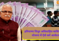 Haryana Vidhur Pension Yojana in Hindi