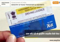 Driving Licence Check By Name & Address