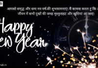 Happy New Year 2024 Quotes in Hindi