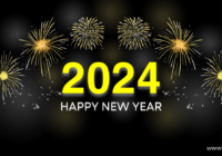 Happy New Year 2024 Family and Friend Wishes in Hindi