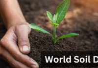 World Soil Day 2023