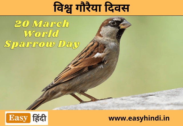 World Sparrow Day