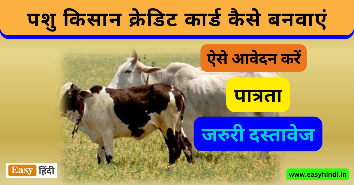 Rajasthan Pashu Kisan Credit Card