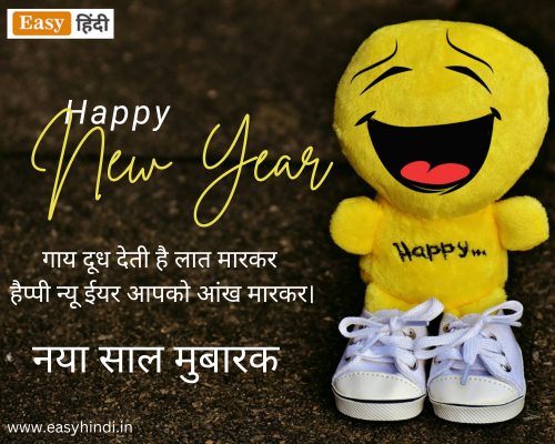 Funny Happy New Year 2024 Shayari