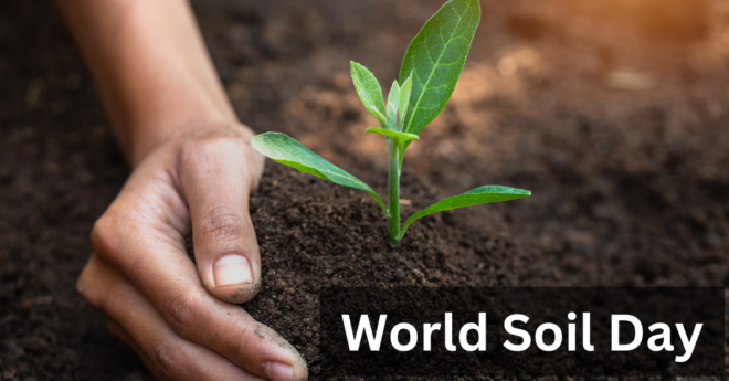 World Soil Day 2023