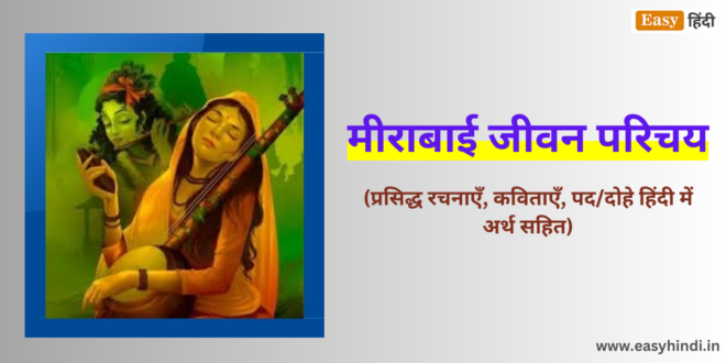 Meera Bai Biography in Hindi