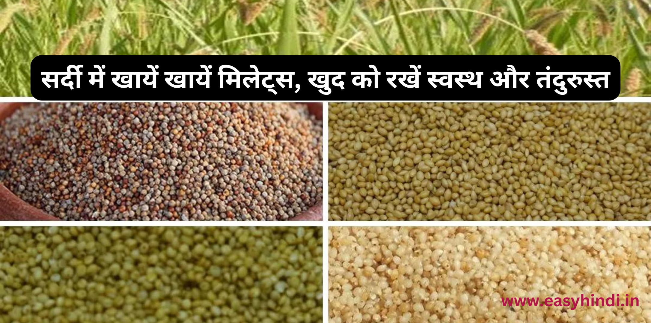 Millet in hindi